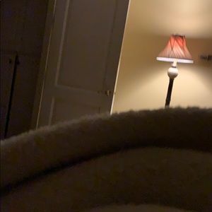 Meet your Posher, Dusty